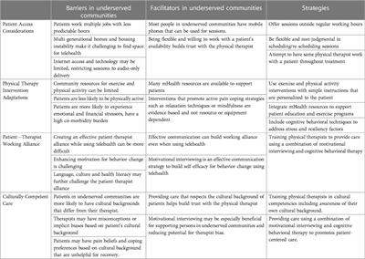 Telehealth delivery of physical therapist-led interventions for persons with chronic low back pain in underserved communities: lessons from pragmatic clinical trials